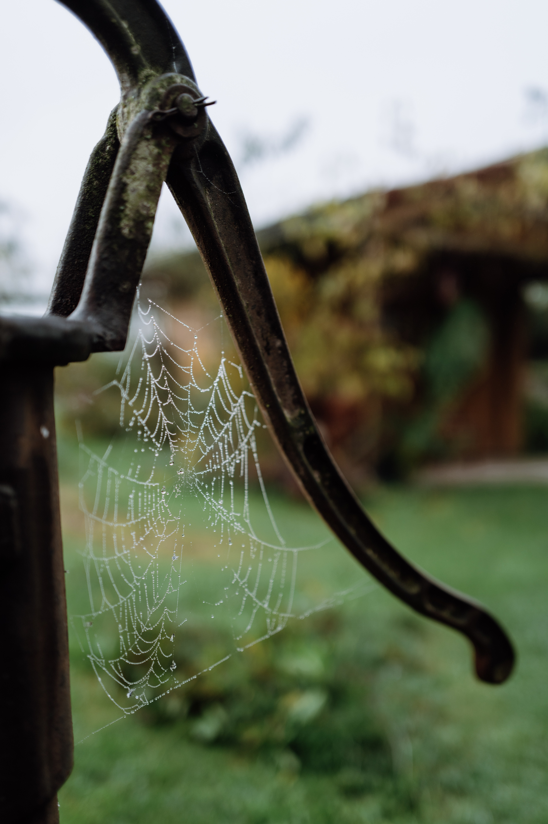 Spider‘s net put up between the body and lever of a rusty, old, standing, manual water pump. The net is covered in water dew droplets. The sky and garden is out of focus but visible in the background. 